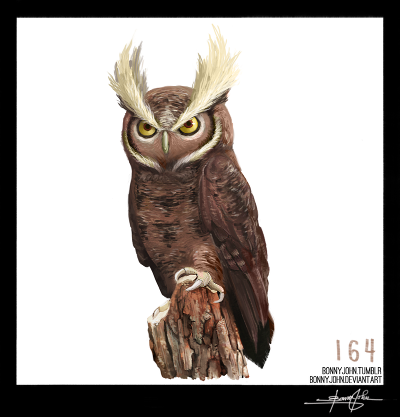Illustration for article titled Noble Noctowl! Pokemon One a Day, Series 2!